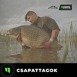 Csapattagok