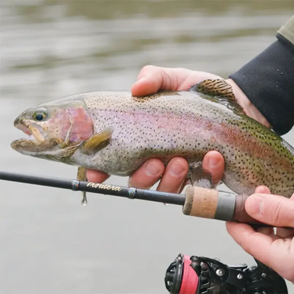 Delphin TROUTERA HardLure pergető bot