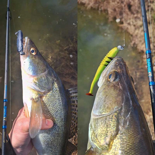 Delphin ZANDIT pergető bot