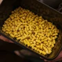 Kép 4/6 - Nikl CSL Kukorica pellet 3