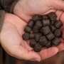 Kép 3/8 - Nikl Halibut furat nélküli pellet 2