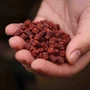 Kép 6/8 - Nikl pellet Krill Berry 5