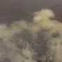Kép 6/8 - Nikl Oldódó Rape Cloud repce bojli 20mm