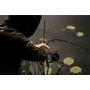 Kép 3/3 - Sonik Xtractor 2 Rod Carp Kit készlet
