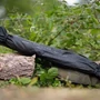 Kép 7/7 - Sonik Xtractor Recon Landing Nets 42